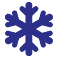 A blue snowflake is shown on a green background.